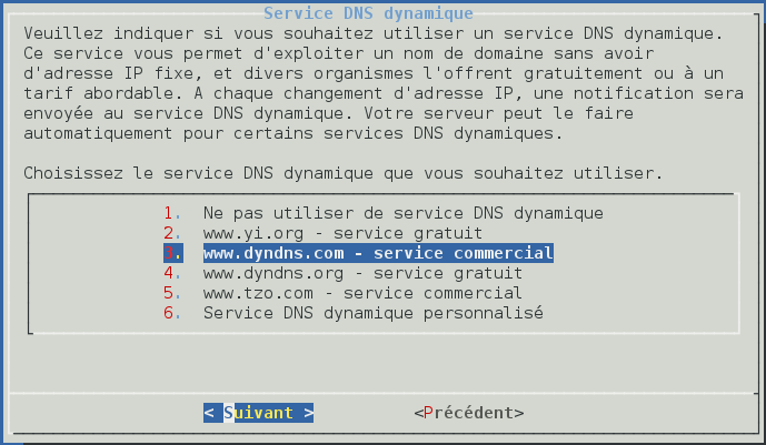 Console DNS dyn.png